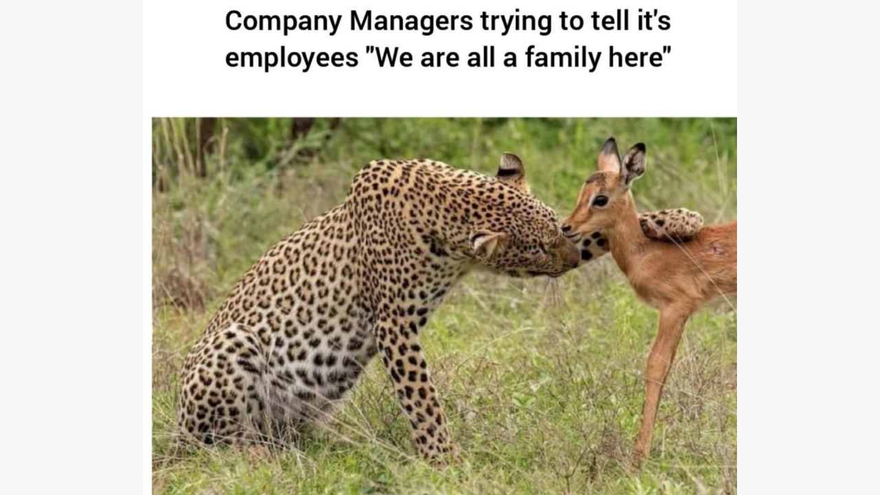 The most common statement you'll hear in a super toxic place