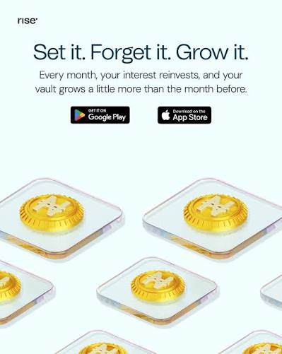 Naira Vault